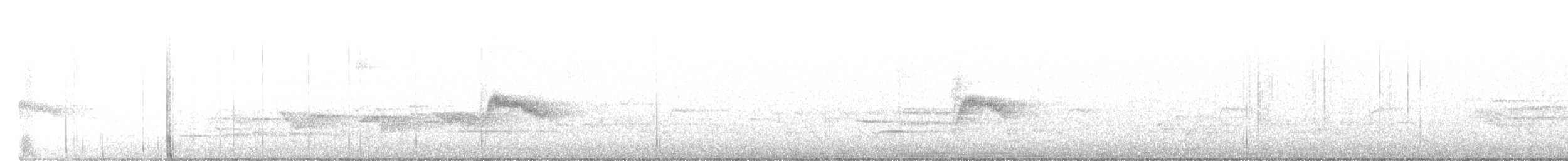 Дрізд-короткодзьоб малий/канадський - ML577197931