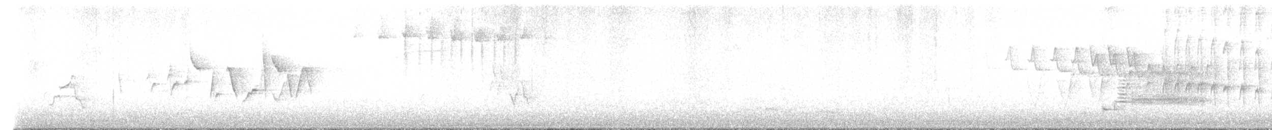 Canada Warbler - ML577244101