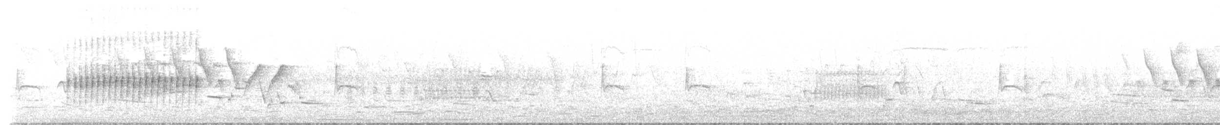 ネズミメジロハエトリ - ML577253741