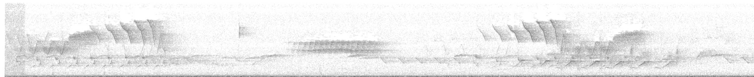 Cerulean Warbler - ML57728621