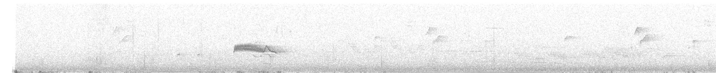 Western Wood-Pewee - ML577292021