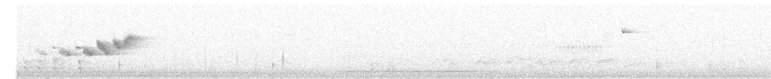 Black-throated Gray Warbler - ML577292961