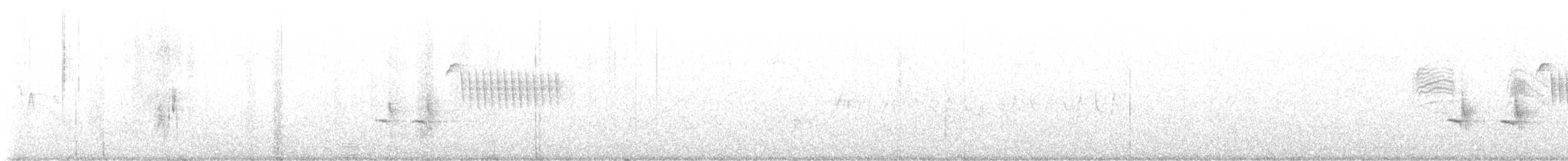 gråempid - ML577309521