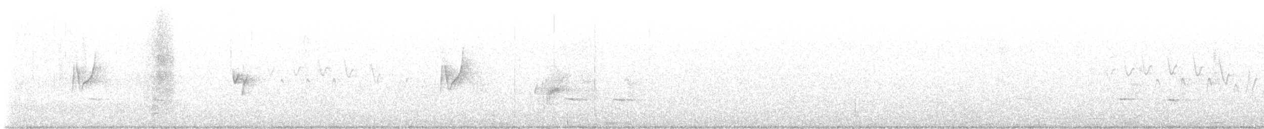 ネズミメジロハエトリ - ML577309931