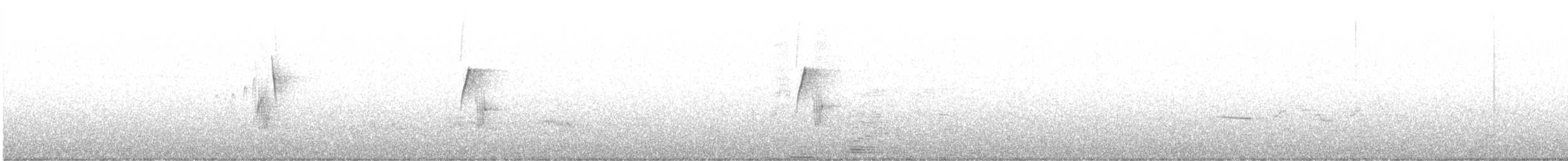 Hammond's Flycatcher - ML577318841