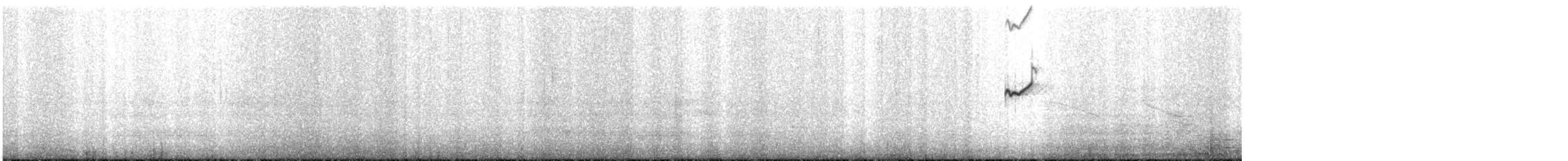 Tinamou curvirostre - ML577323551