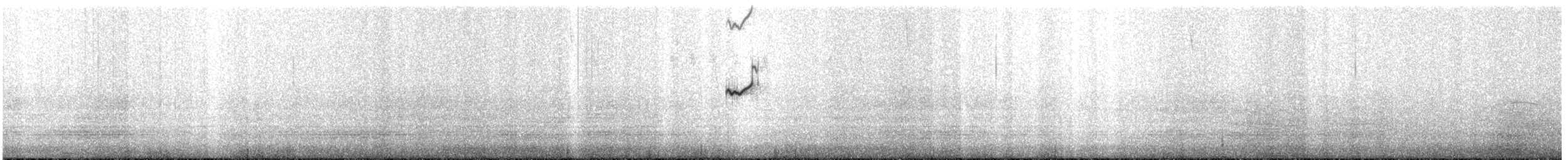 Tinamou curvirostre - ML577323631