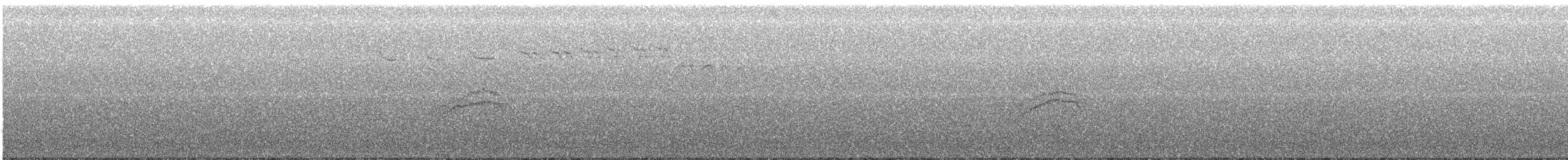 Münzevi Bülbül Ardıcı - ML577324781