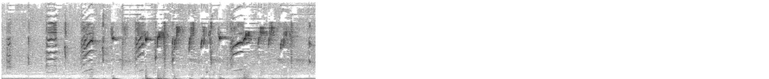 New Zealand Fantail - ML577350841