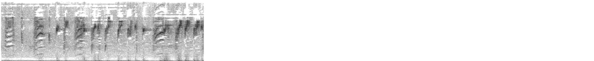 New Zealand Fantail - ML577350851