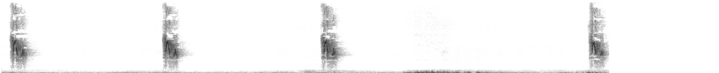 House Sparrow - ML577351291