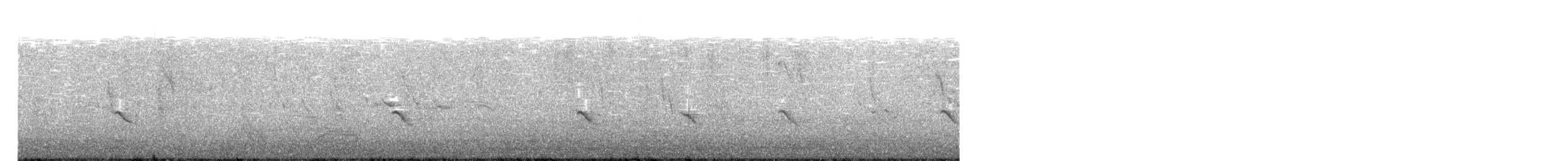 Kara Taşkuşu - ML577351961