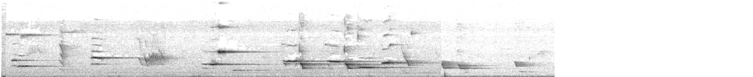 New Zealand Bellbird - ML577352721