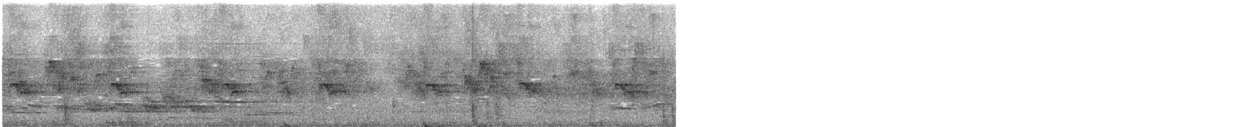 House Sparrow - ML577352761