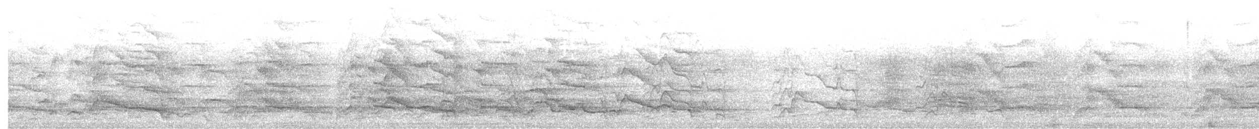 kakadu běloocasý - ML577381411