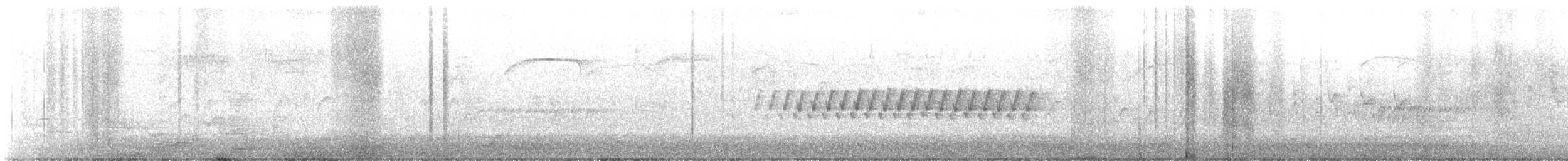 Pine Warbler - ML577401681