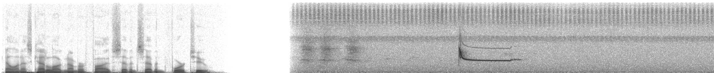 torntyrann - ML57742