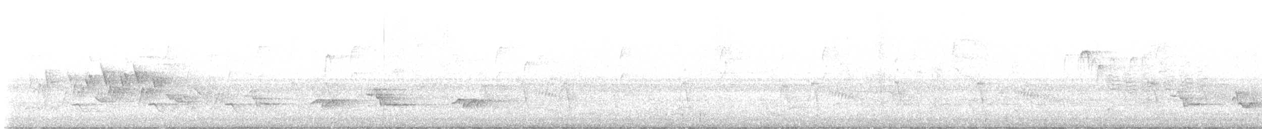 Черногорлая хвойница - ML577436621
