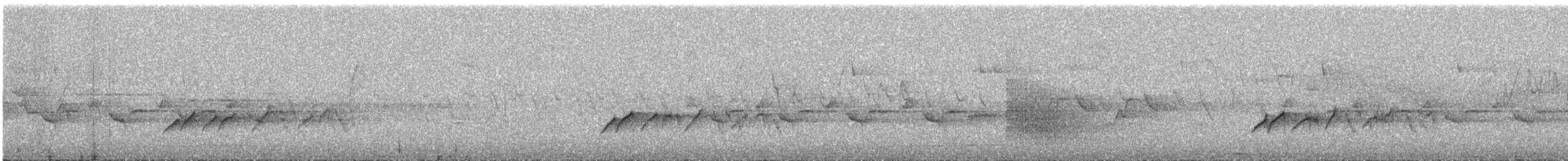 White-browed Bush-Robin - ML577439271