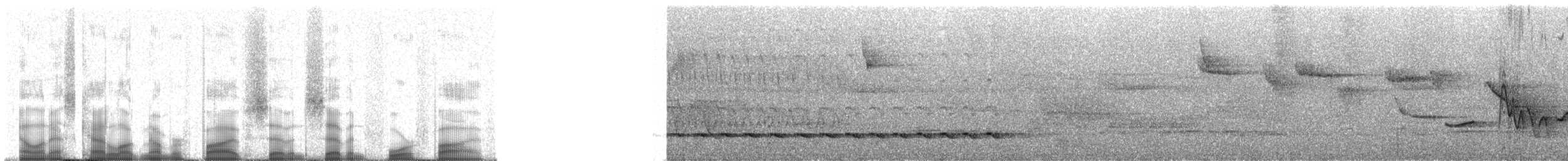 mravenčíkovec mexický - ML57745