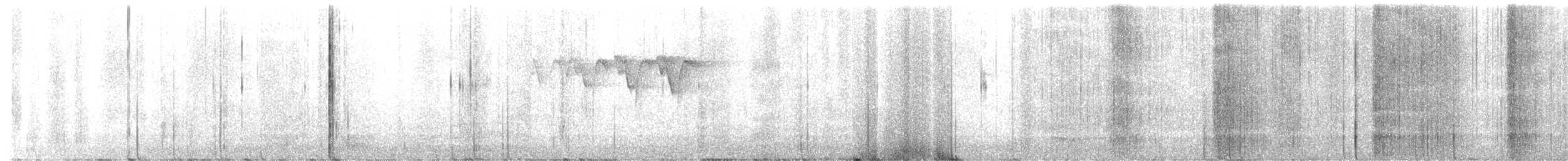 Bay-breasted Warbler - ML577450971