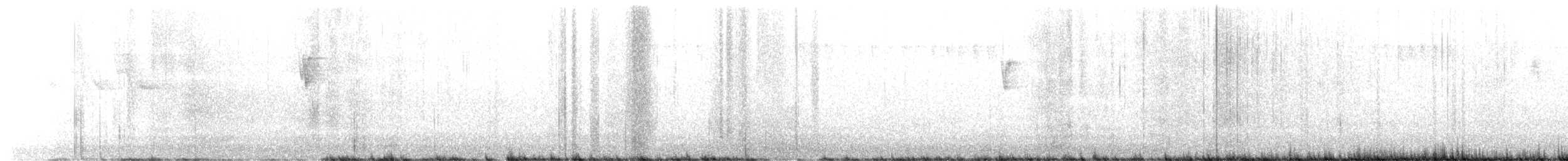 Bay-breasted Warbler - ML577450991