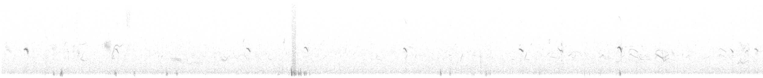 Western Black-eared Wheatear - ML577454561