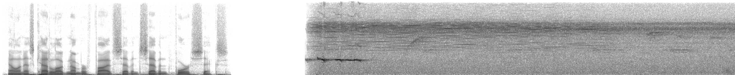 Gray-collared Becard (Eastern) - ML57746