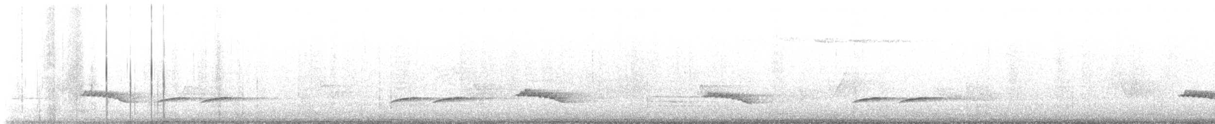 Carolina Wren - ML577476341
