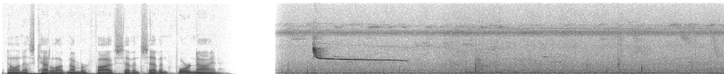 Flammulated Flycatcher - ML57749