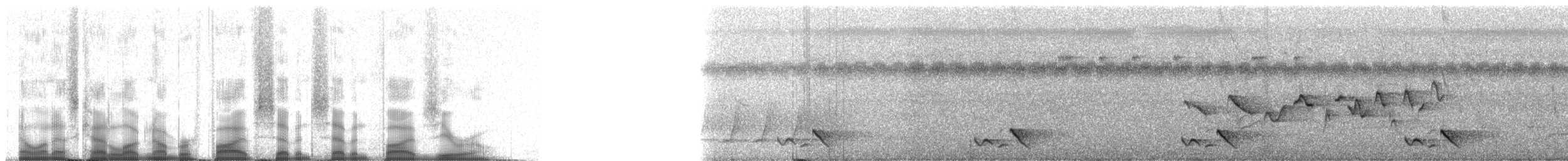 Rosy Thrush-Tanager - ML57750