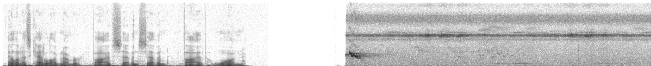 Rosy Thrush-Tanager - ML57751