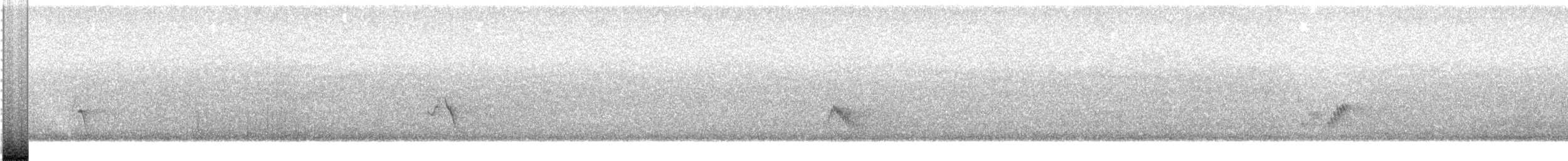 solitary vireo sp. - ML57751771