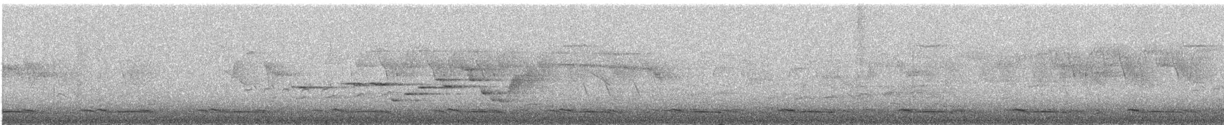 オグロコンヒタキ - ML577519431