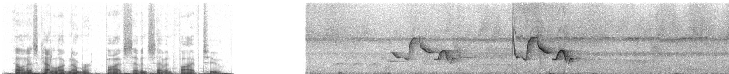 Гвианский крапивник [группа felix] - ML57752