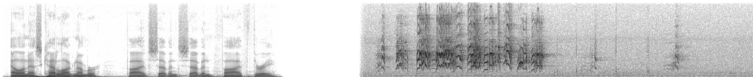 Olive-throated Parakeet (Aztec) - ML57753