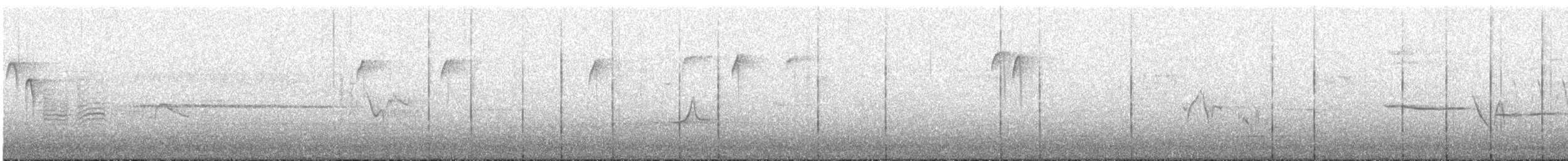 Pileated Woodpecker - ML57756351