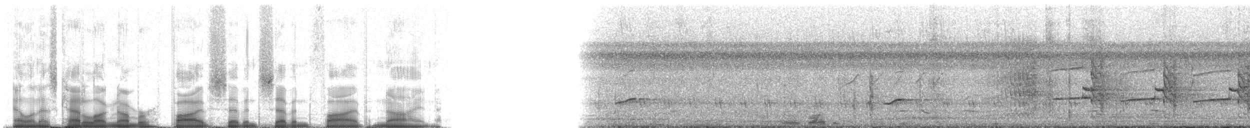 Red-fan Parrot - ML57759