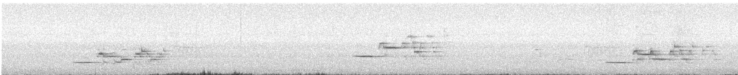 Дрізд-короткодзьоб плямистоволий (підвид faxoni/crymophilus) - ML577594271