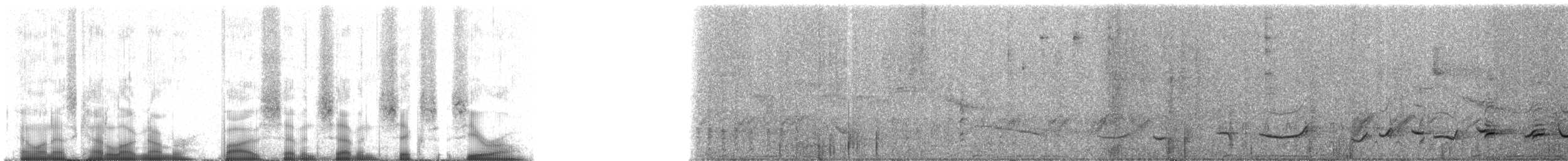 Audubon's Oriole (Dickey's) - ML57760