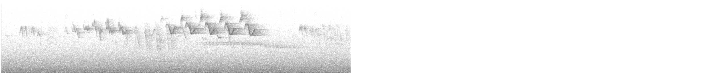 Paruline noir et blanc - ML577616451
