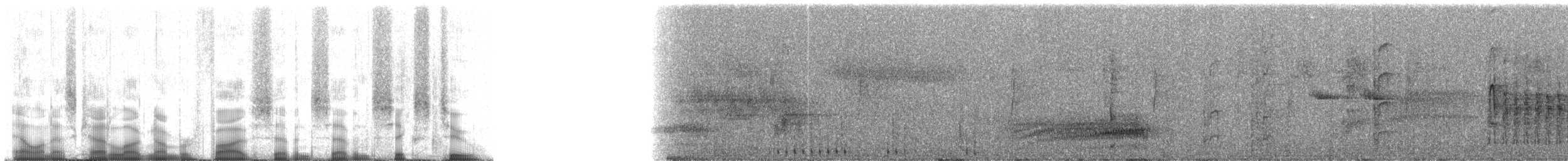 Smoky-brown Woodpecker - ML57762