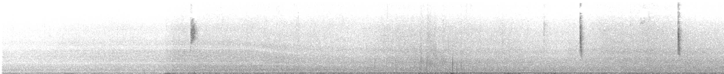 Common Yellowthroat (trichas Group) - ML577642881