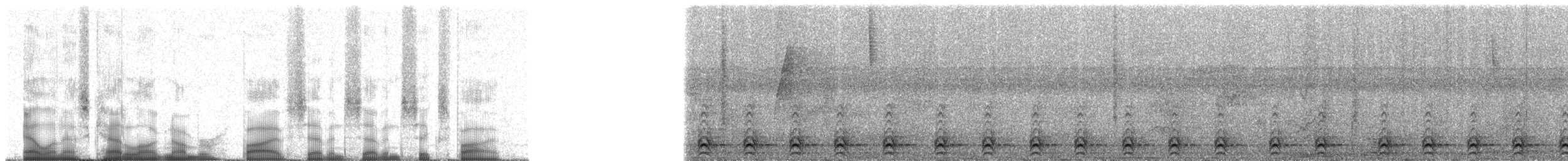 Slaty-tailed Trogon (Massena) - ML57765