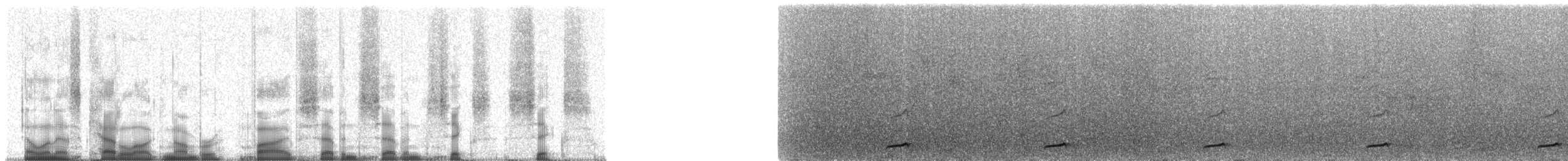 Tody Motmot - ML57766