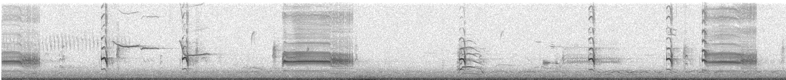 Common Tern - ML57766851