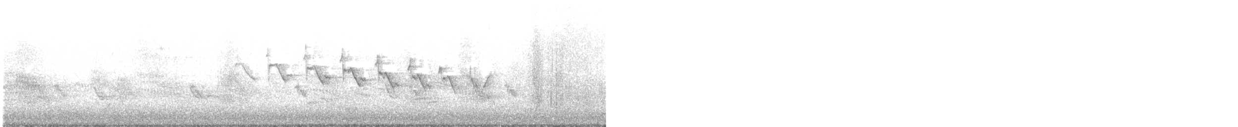 Yellow-throated Warbler - ML577672721