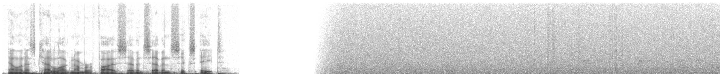 Little Tinamou - ML57768