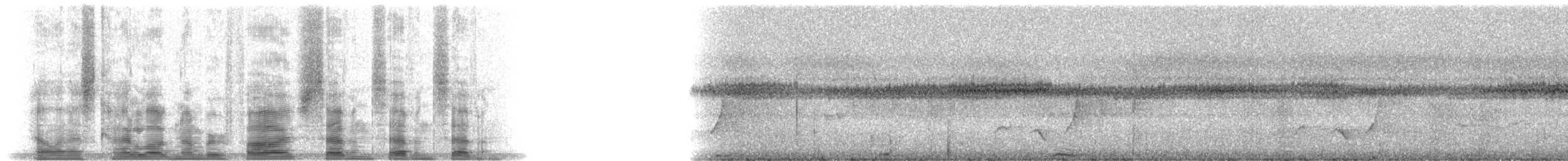 Yellow-throated Fiji Whistler - ML5777