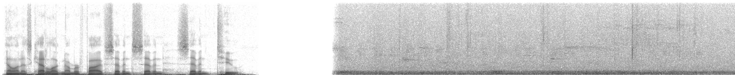 Cozumel Vireo - ML57772